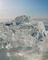 __rrenard__ Altpins Profile Picture