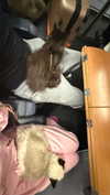 leni.bahr Altpins Profile Picture