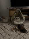 danielle.mercedie Altpins Profile Picture