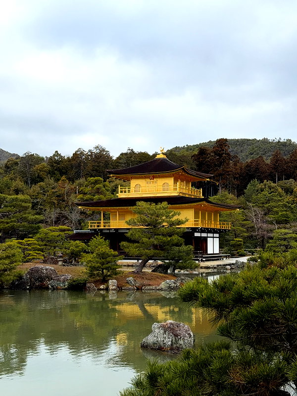 dekota_thompson instagram image archive image
