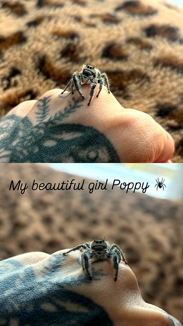 gargoyol instagram image archive image