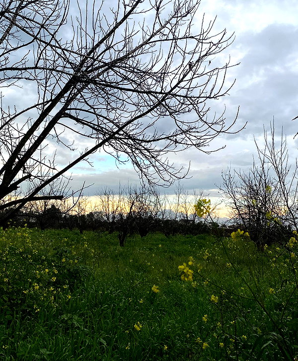 talya.fridland instagram image archive image