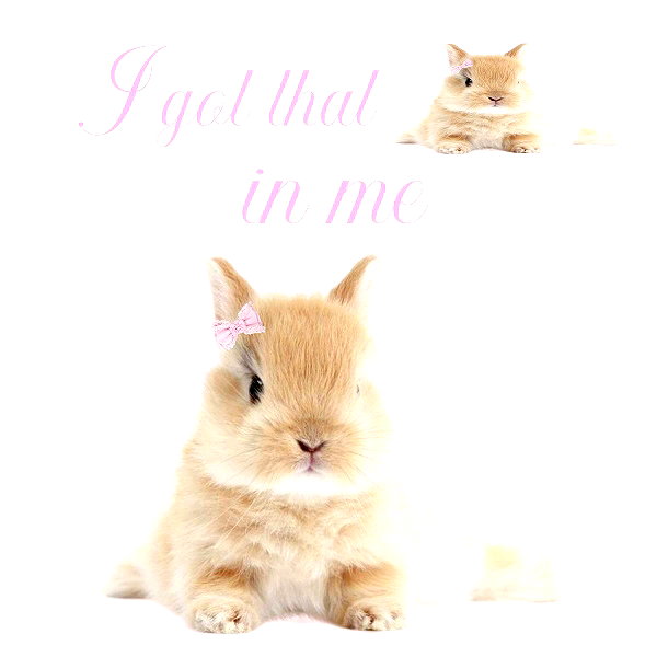 1uvgabi instagram image archive image