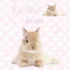 1uvgabi Altpins Profile Picture