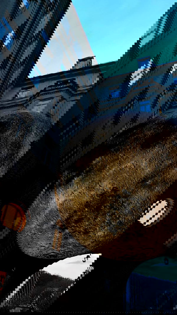 talia_davidov talia_davidov archive image