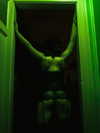 suspiria.em Altpins Profile Picture