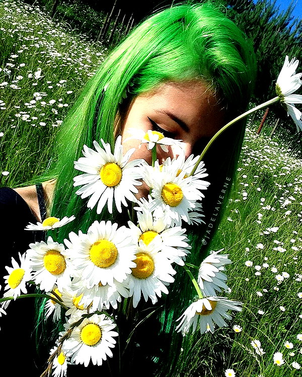 jadelaverne instagram image archive image