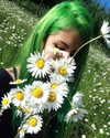 jadelaverne Altpins Profile Picture