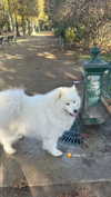 maya.keyy Altpins Profile Picture