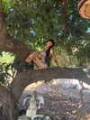 strawberryshanz Altpins Profile Picture