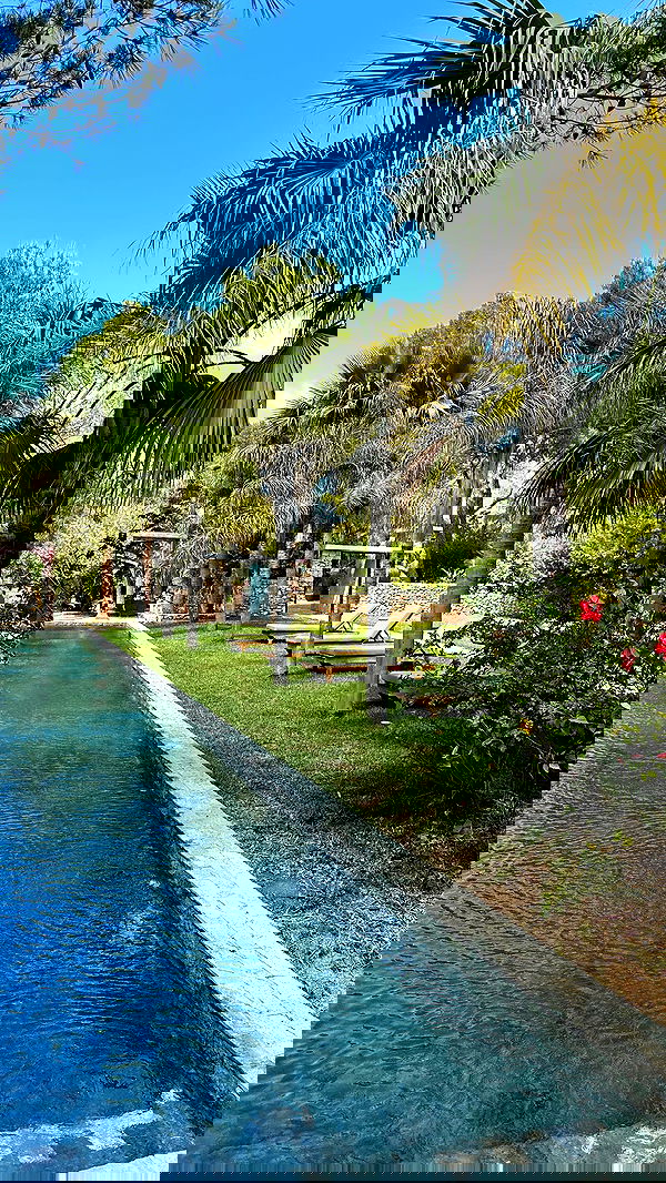 taylor.creeden taylor.creeden archive image