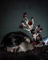 muze Altpins Profile Picture