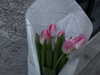 annabottoo Altpins Profile Picture