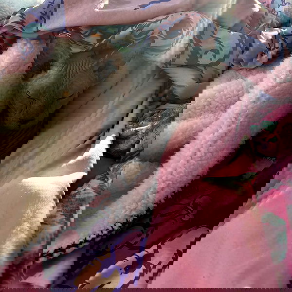 iluvmeww iluvmeww archive image