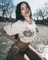 shysmith Altpins Profile Picture