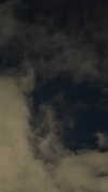 ira_dash_ Altpins Profile Picture