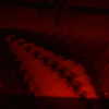 danafetishistova Altpins Profile Picture