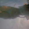 livia._.paige Altpins Profile Picture