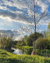 stranstviepera Altpins Profile Picture