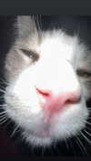 dante_yangpa Altpins Profile Picture