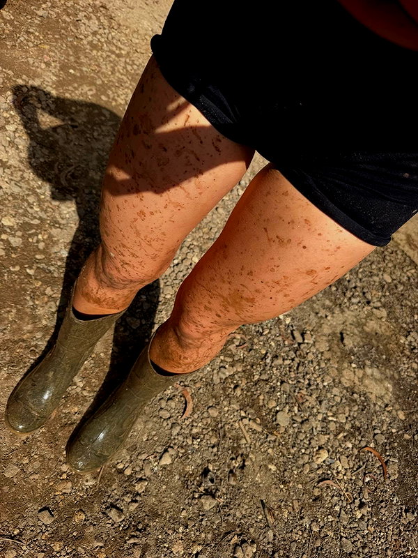 laurenhamden instagram image archive image