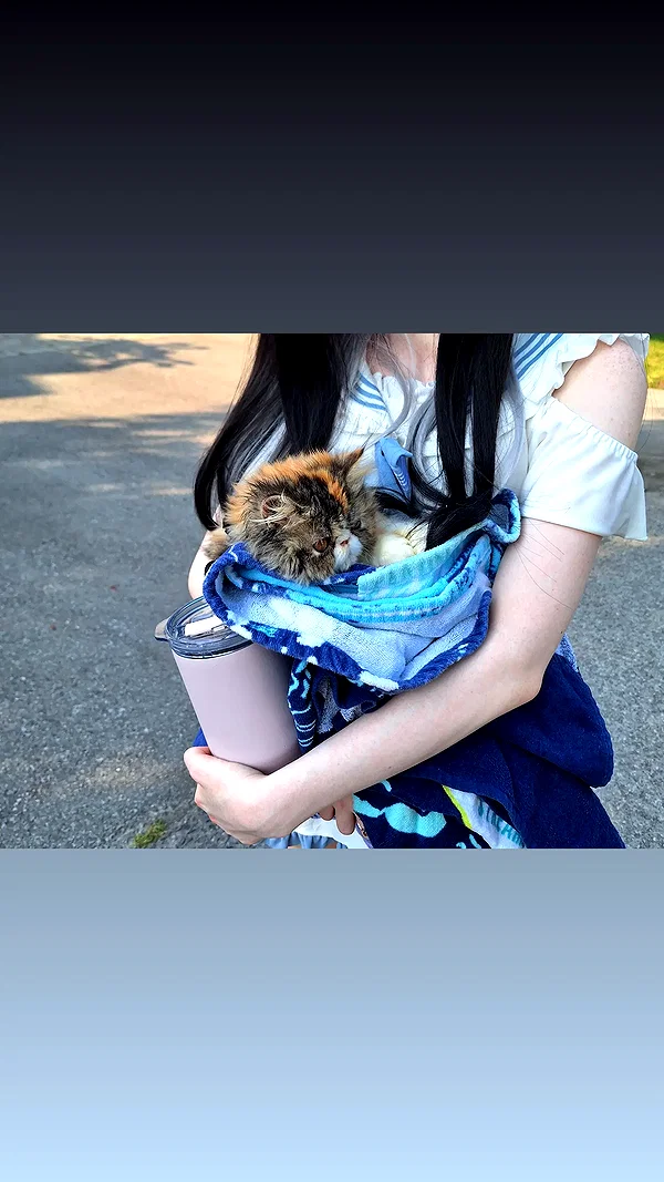 mirekyarahire instagram image archive image
