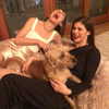 alexandradaddario Altpins Profile Picture