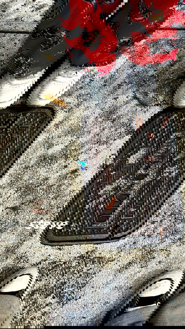 mosssaico mosssaico archive image