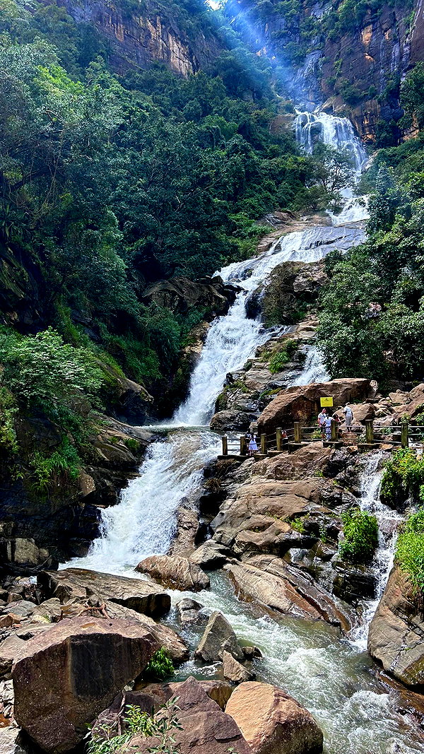 tamar_tsur instagram image archive image