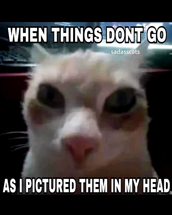 leanbeefpatty instagram image archive image