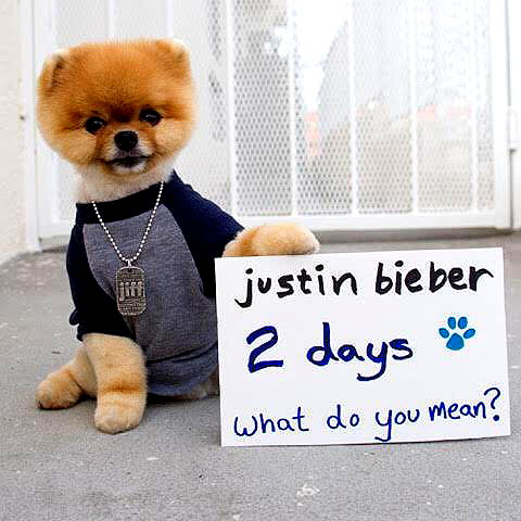 lilbieber instagram image archive image