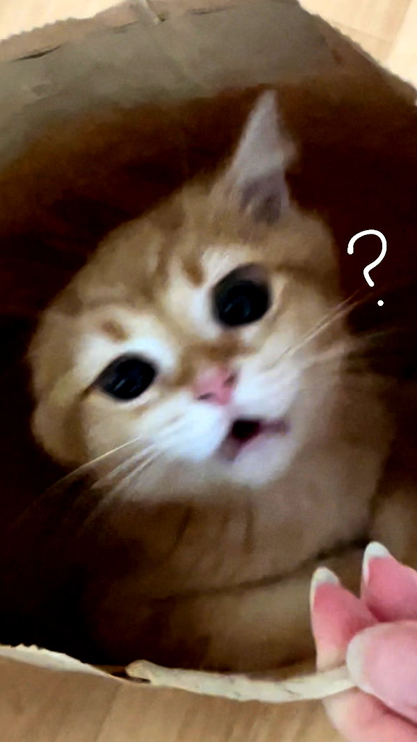 s0meii0 instagram image archive image