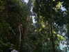 marlene_808 Altpins Profile Picture