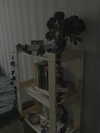 vasian_life Altpins Profile Picture