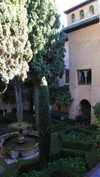sof.alo Altpins Profile Picture