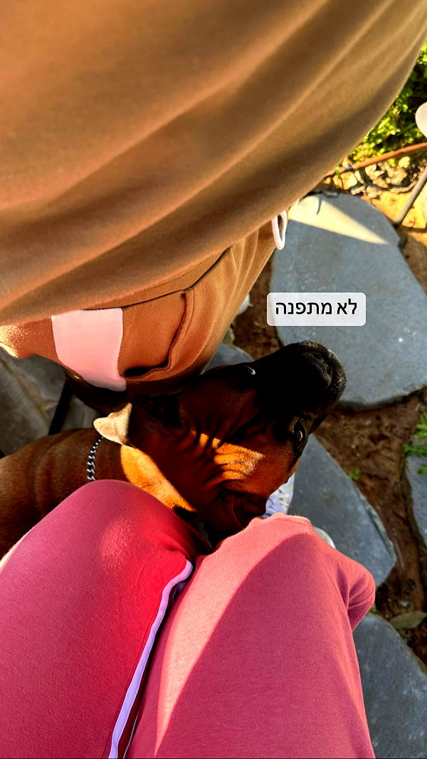 adihimelbloy instagram image archive image