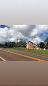 maori_cohen Altpins Profile Picture