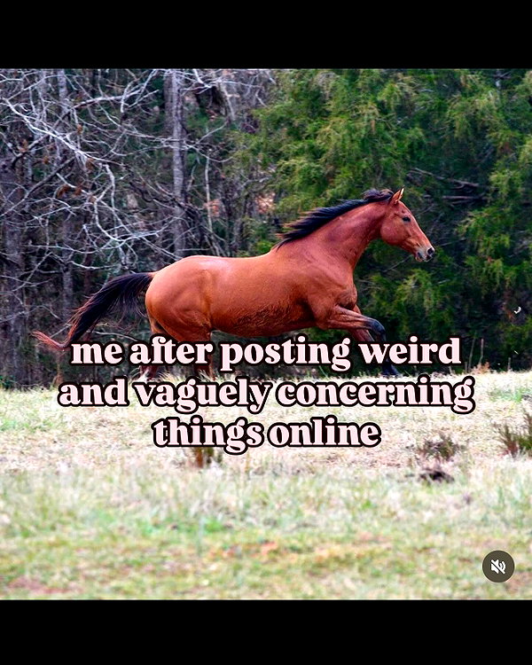 leanbeefpatty instagram image archive image