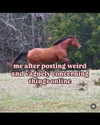 leanbeefpatty Altpins Profile Picture