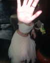 gisellelee8 Altpins Profile Picture