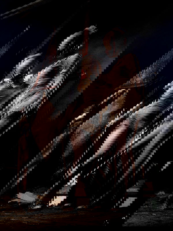 milkgore milkgore archive image