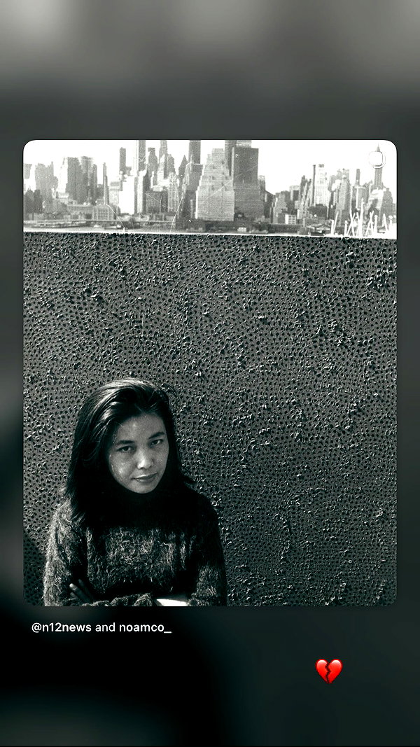 moonliliaght instagram image archive image