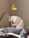 maiden_lifts Altpins Profile Picture