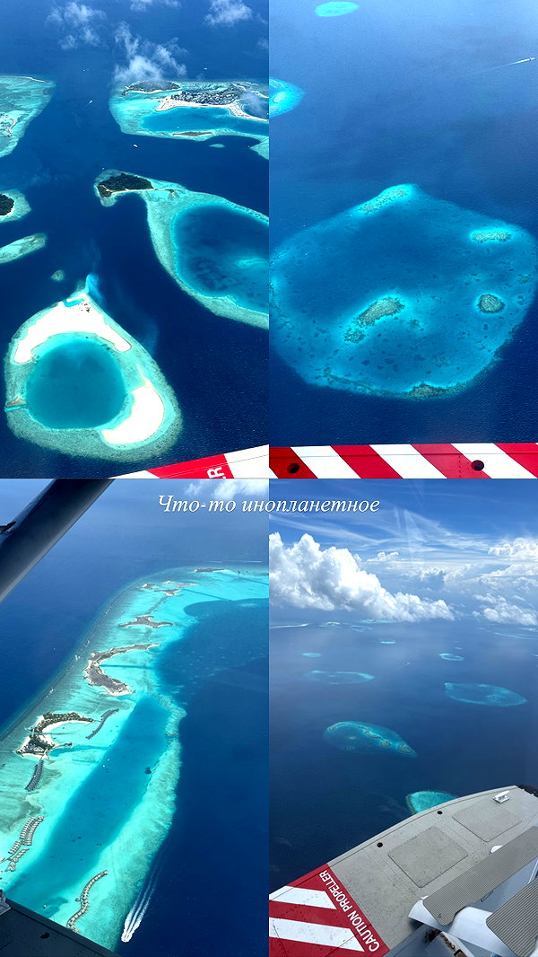 sabiyo instagram image archive image