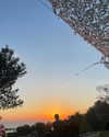 ofri.elul Altpins Profile Picture