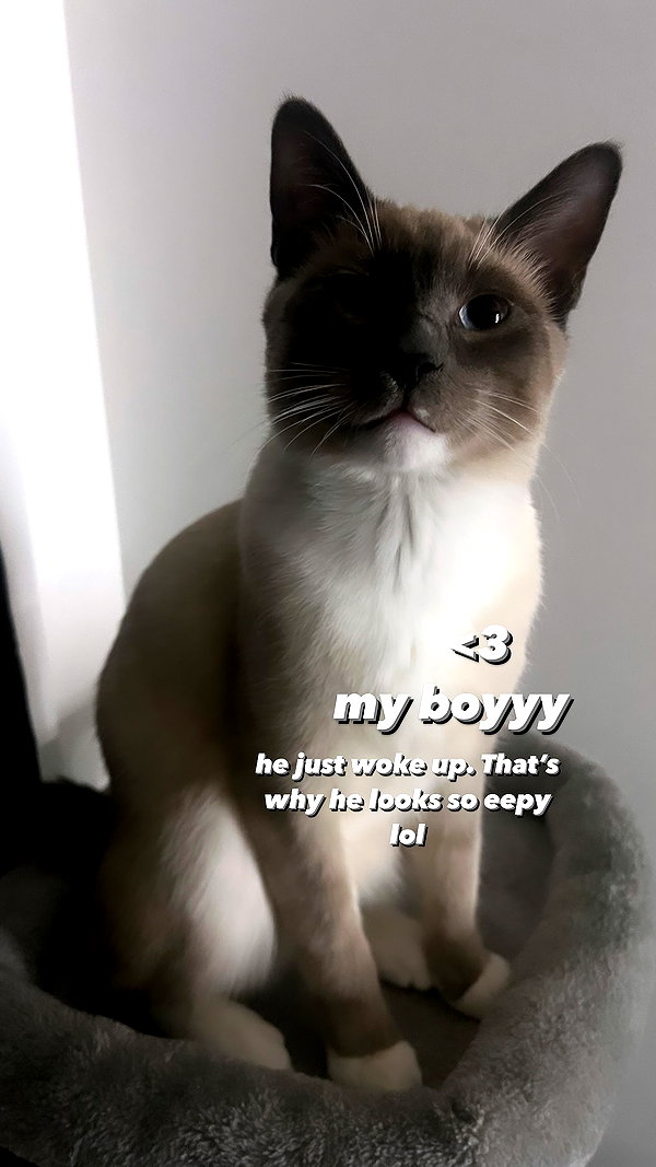 Archived image from @wuvkyu on Instagram