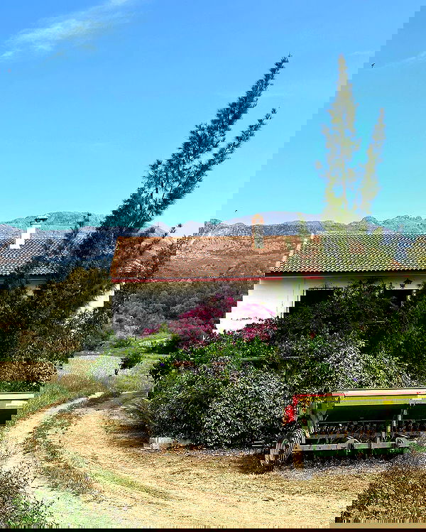 manjolamuriqi manjolamuriqi archive image