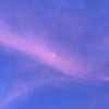 shpaakova Altpins Profile Picture