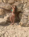 naama_matityahu Altpins Profile Picture