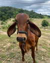 bad.toy Altpins Profile Picture